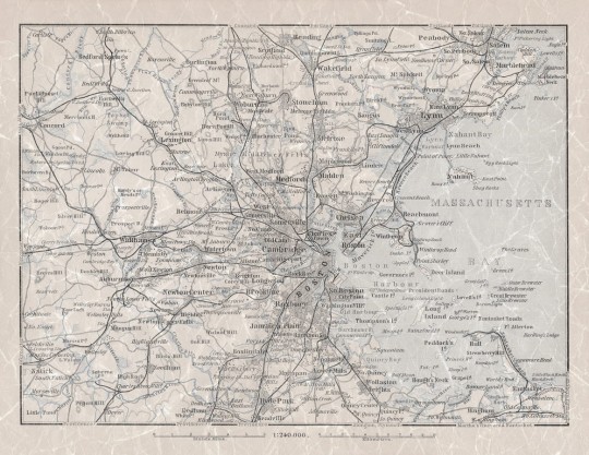 Tapeta Boras Tapeter Lexington 1884