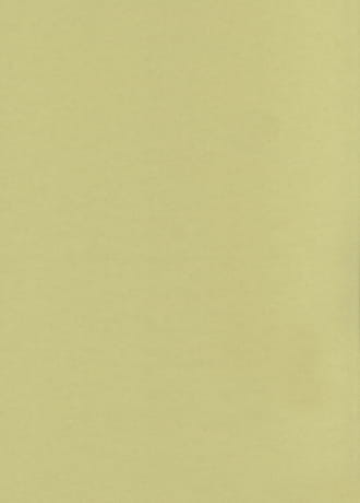 Tapeta Boras Tapeter PLAIN -09 7533