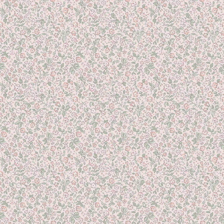 0c2ec35492a3da5201159ed55f2e67b2