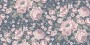 aafda9f6d0cca4ac3848a8b60b5a7ec2