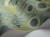 8deb3d79cfed116d84ee830d649061d9