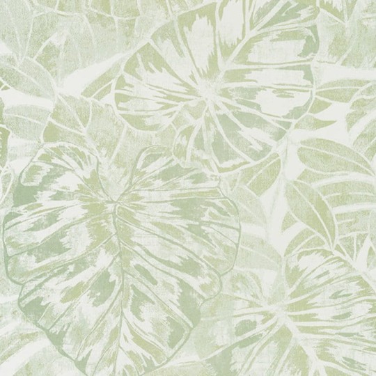 Tapeta Casadeco Panama PANA81077224 Feuilles
