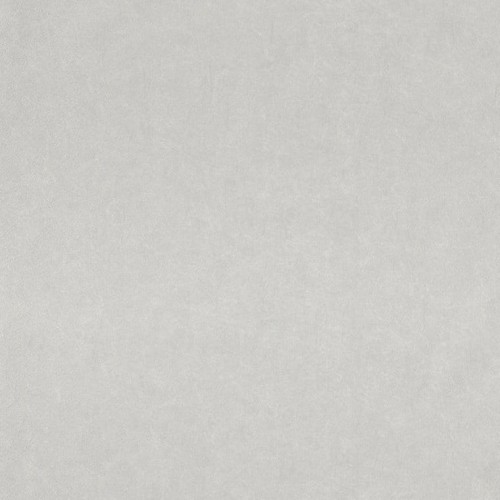 49e6b5ccdca96a1de4af55ff7f569984