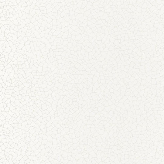 Tapeta Casadeco So White 3 SOWH 6859 00 08 Craquele Shine