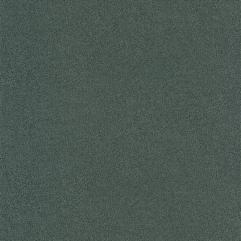 c49ff679ce776c364cea28894f50f8af