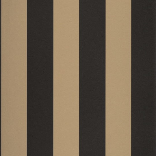 Tapeta Caselio Moonlight MLG 10119 90 25 Day And Night Metalisse