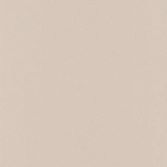 Tapeta Caselio Shine SHE60401160