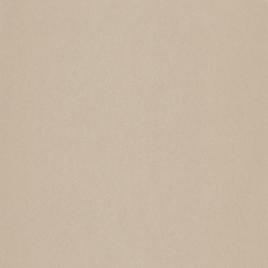 Tapeta Caselio Shine SHE60401000