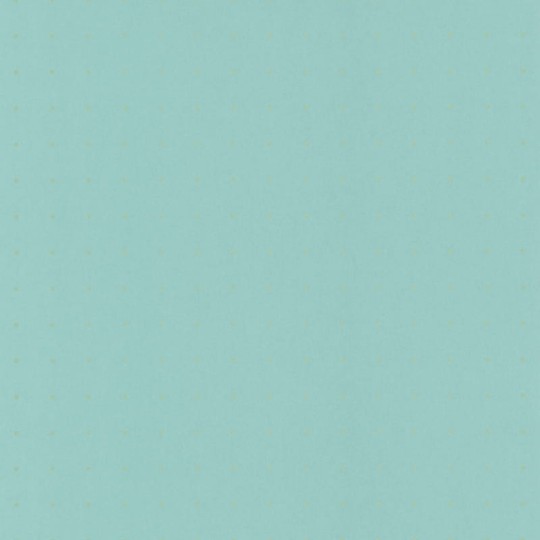 Tapeta Caselio Shine SHE68556022