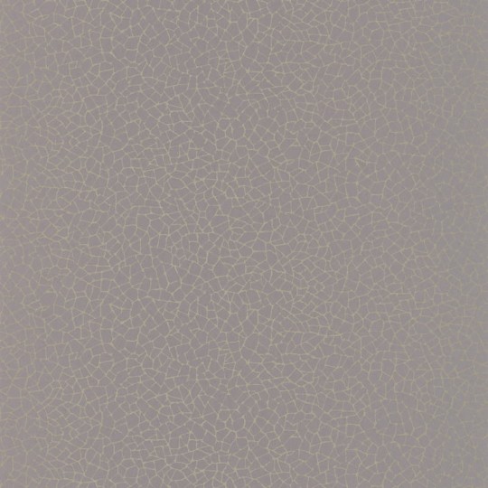 Tapeta Caselio Shine SHE68599023