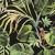 c52e13a0a72aa86ab03b400e181dcace