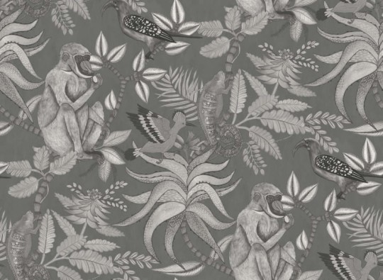 Tapeta Cole & Son Ardmore 109/1002 Savuti