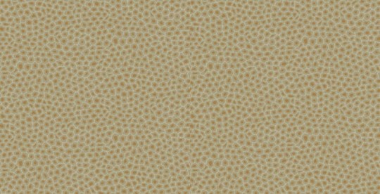 Tapeta Cole & Son Ardmore 109/6029 Senzo Spot