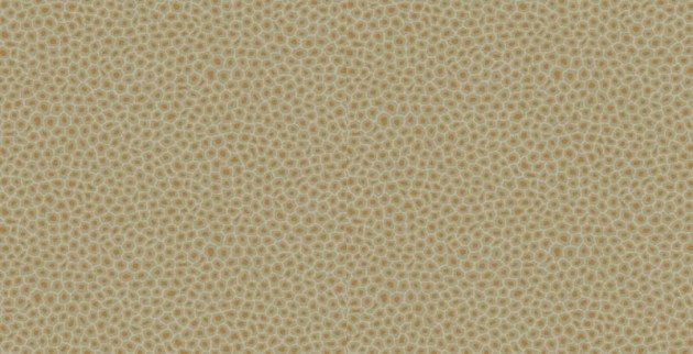 Tapeta Cole & Son Ardmore 109/6029 Senzo Spot