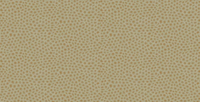 fc18356ac32a465ab6ec64ce89aea35f