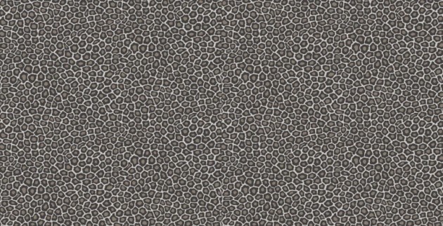 Tapeta Cole & Son Ardmore 109/6031 Senzo Spot