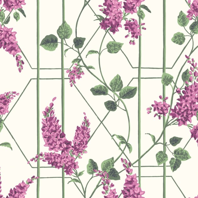 Tapeta Cole & Son Botanical Botanica Wisteria 115/5013