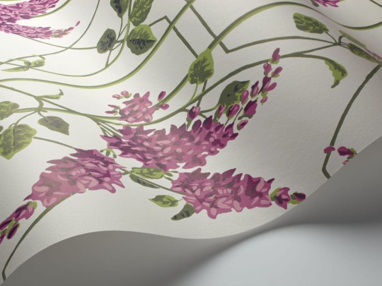 Tapeta Cole & Son Botanical Botanica Wisteria 115/5013