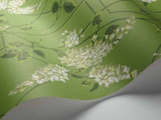 Tapeta Cole & Son Botanical Botanica Wisteria 115/5016