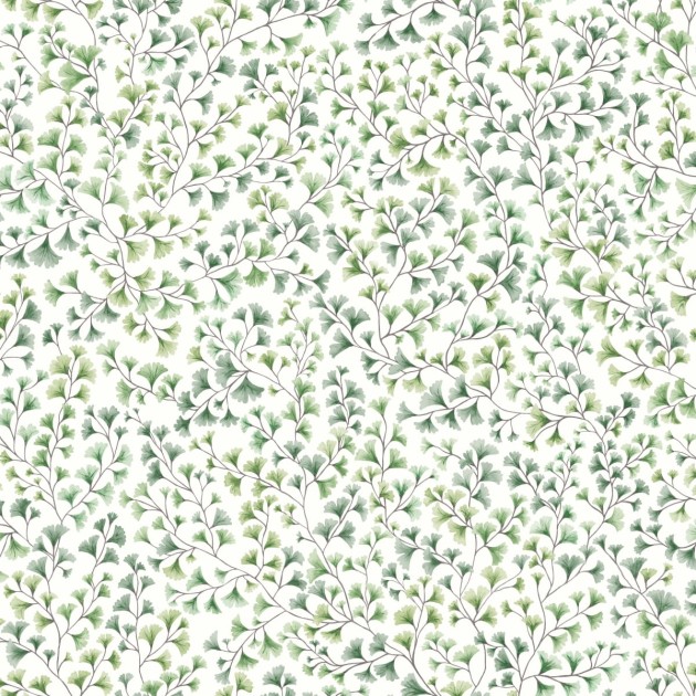Tapeta Cole & Son Botanical Botanica Maidenhair 115/6018
