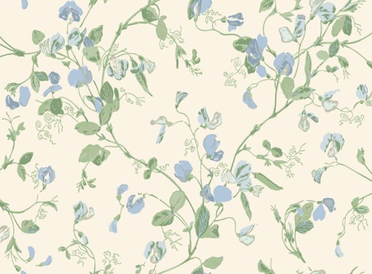 Tapeta Cole & Son Botanical Botanica Sweet Pea 100/6031