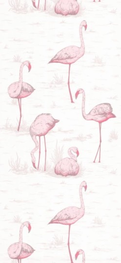 Tapeta Cole & Son - Contemporary Restyled  - Flamingos - 95/8045