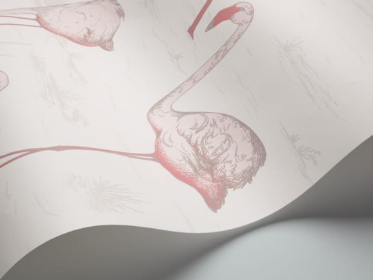 Tapeta Cole & Son - Contemporary Restyled  - Flamingos - 95/8045