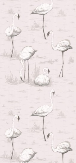 Tapeta Cole & Son - Contemporary Restyled  - Flamingos - 95/8046