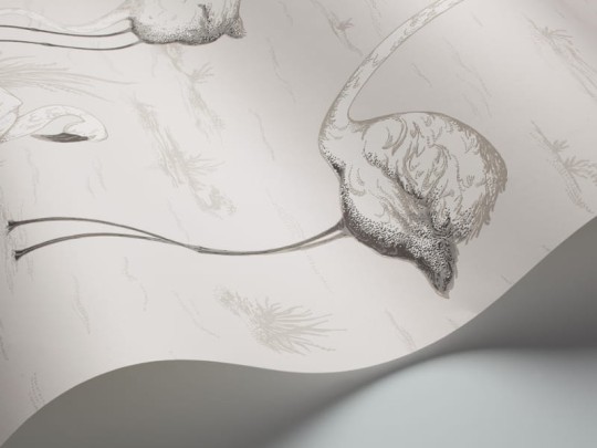 Tapeta Cole & Son - Contemporary Restyled  - Flamingos - 95/8046