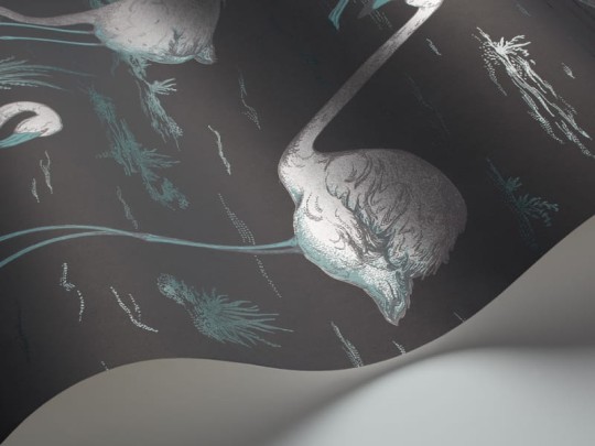 Tapeta Cole & Son - Contemporary Restyled  - Flamingos - 95/8048