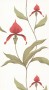 ff38bba26730e3fcfa3bd8bd74787616