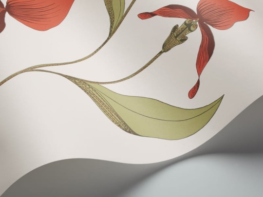 Tapeta Cole & Son - Contemporary Restyled  - Orchid - 95/10054