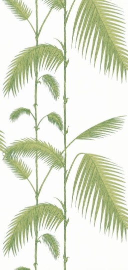 Tapeta Cole & Son - Contemporary Restyled  - Palm - 95/1009