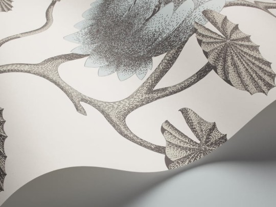 Tapeta Cole & Son - Contemporary Restyled  - Water Lily - 95/4022