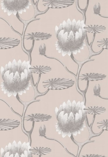 Tapeta Cole & Son - Contemporary Restyled  - Water Lily - 95/4025