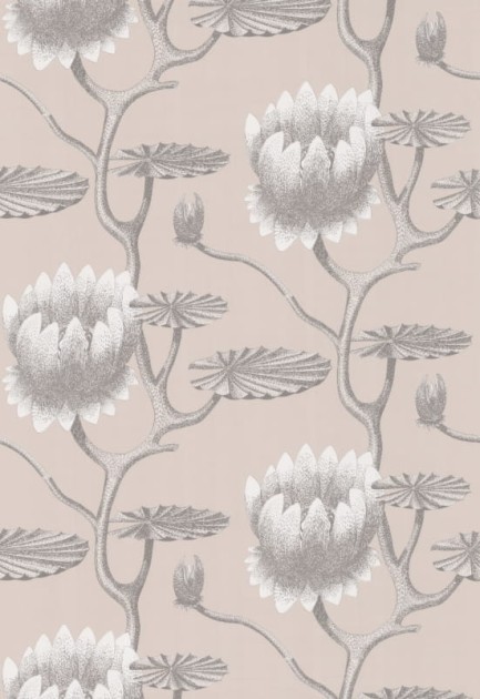 Tapeta Cole & Son - Contemporary Restyled  - Water Lily - 95/4025