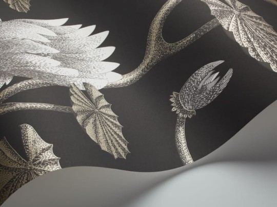 Tapeta Cole & Son - Contemporary Restyled  - Water Lily - 95/4026