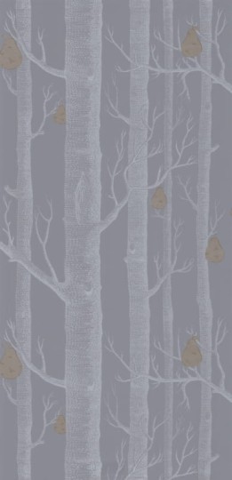 Tapeta Cole & Son - Contemporary Restyled  - Woods - 95/5030