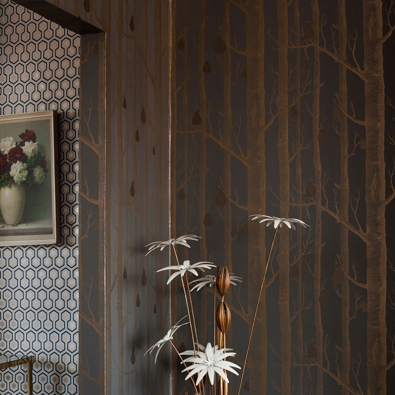Tapeta Cole & Son - Contemporary Restyled  - Woods - 95/5032