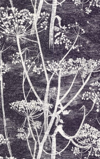 Tapeta Cole & Son - Contemporary Selection - Cow Parsley 66/7046