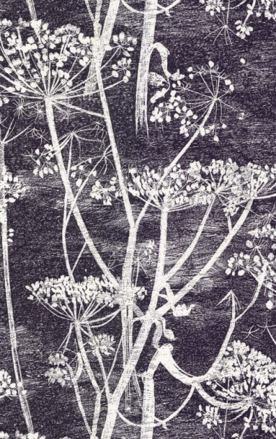 Tapeta Cole & Son - Contemporary Selection - Cow Parsley 66/7046