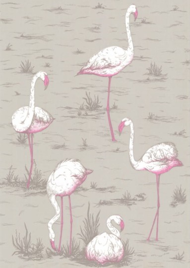 Tapeta Cole & Son - Contemporary Selection - Flamingos 66/6042