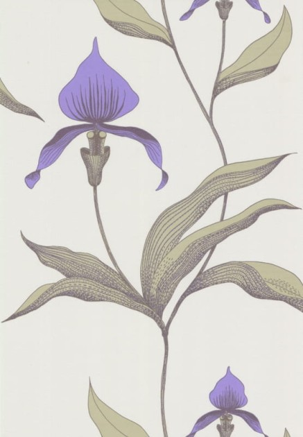 Tapeta Cole & Son - Contemporary Selection - Orchid 66/4024