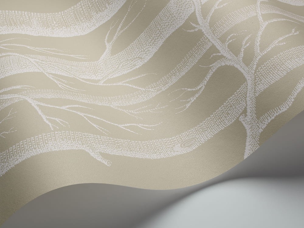 Tapeta Cole Son Woods 69/12149