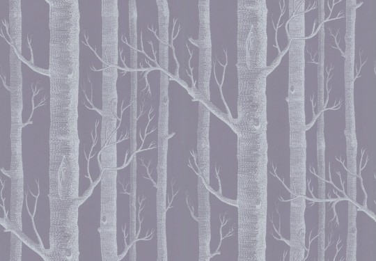 Tapeta Cole Son Contemporary Selection Two Woods 69/12151