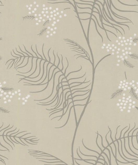 Tapeta Cole & Son Contemporary Selection Two - MIMOSA 69/8131