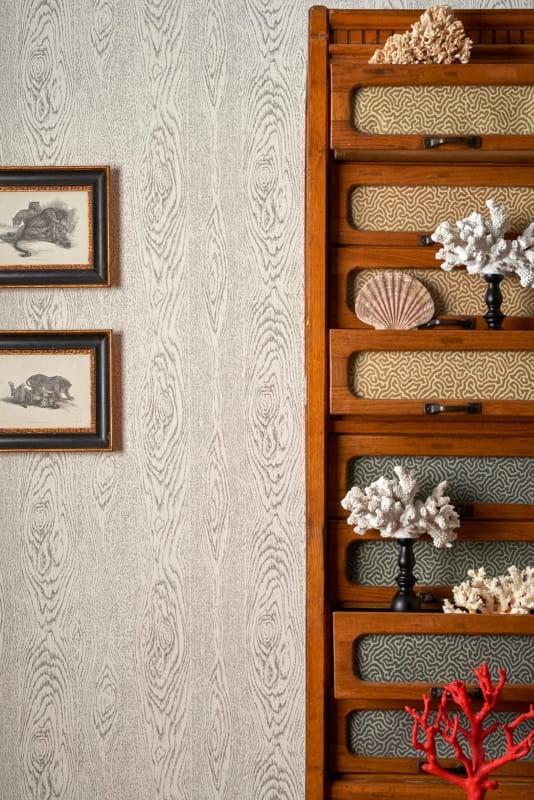 Tapeta Cole & Son Curio  107/10046 Wood Grain