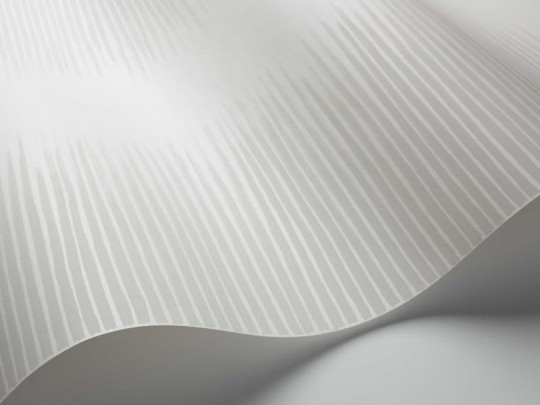Tapeta Cole & Son Curio  107/3012 Plume