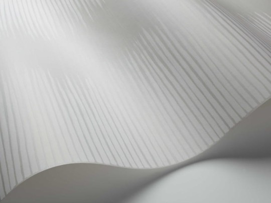 Tapeta Cole & Son Curio  107/3013 Plume