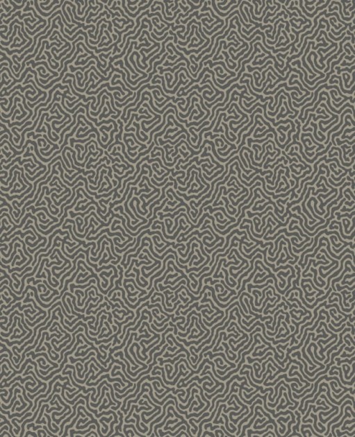 Tapeta Cole & Son Curio  107/4017 Vermicelli